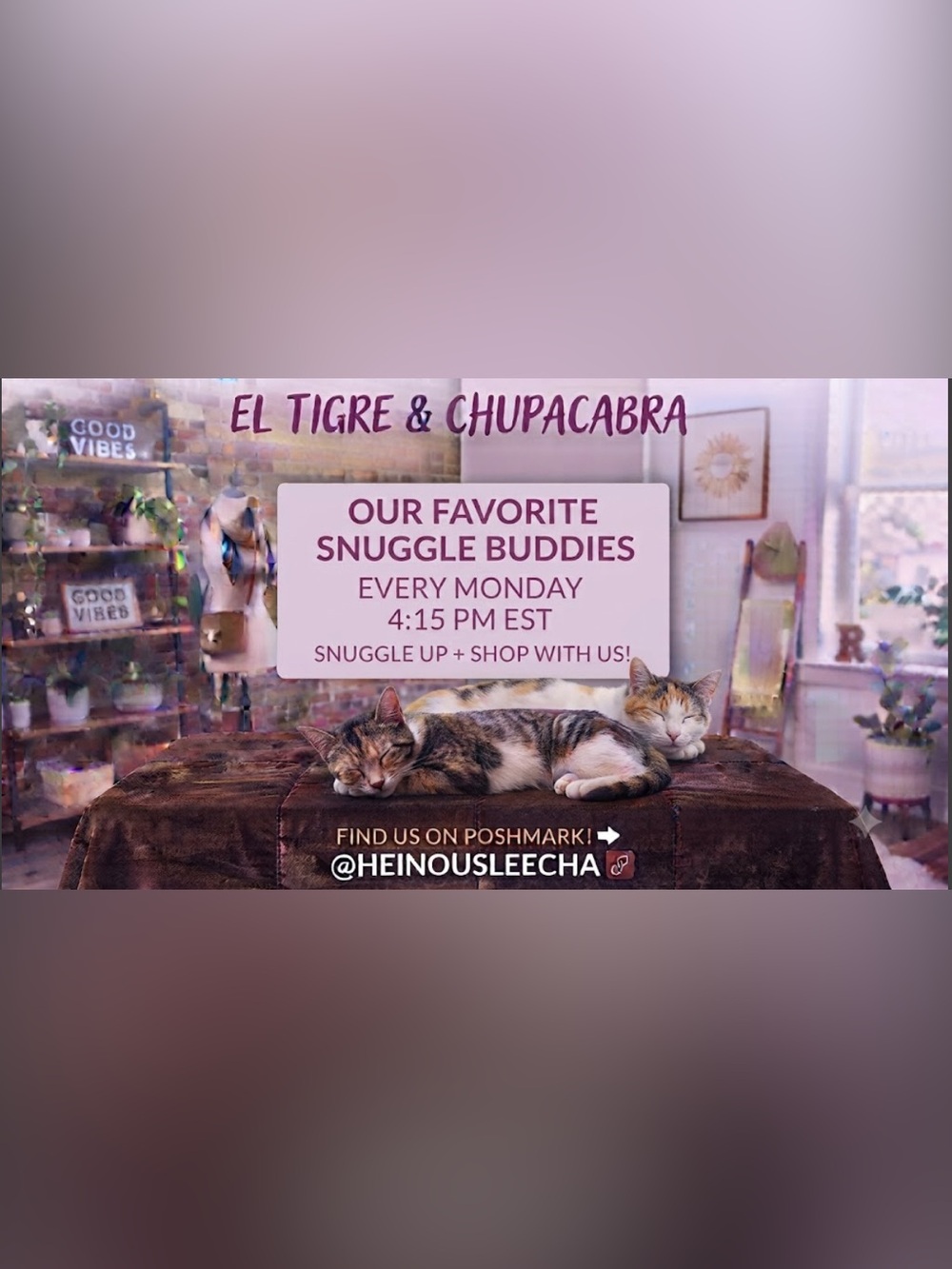 LORI IS LIVE! - Picture 2 of 10